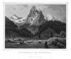 Stahlstich die Grindelalp bei Grindelwald